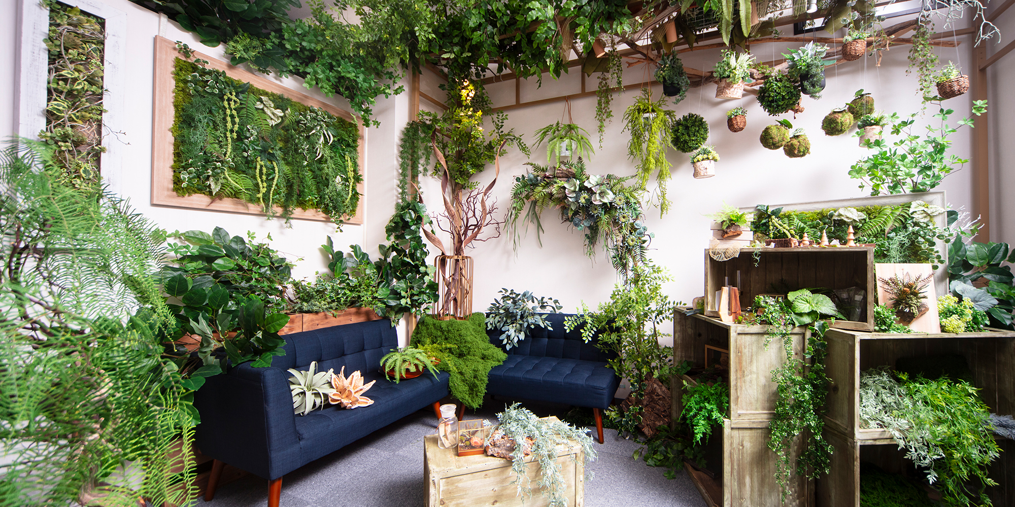 パソコン用の画像